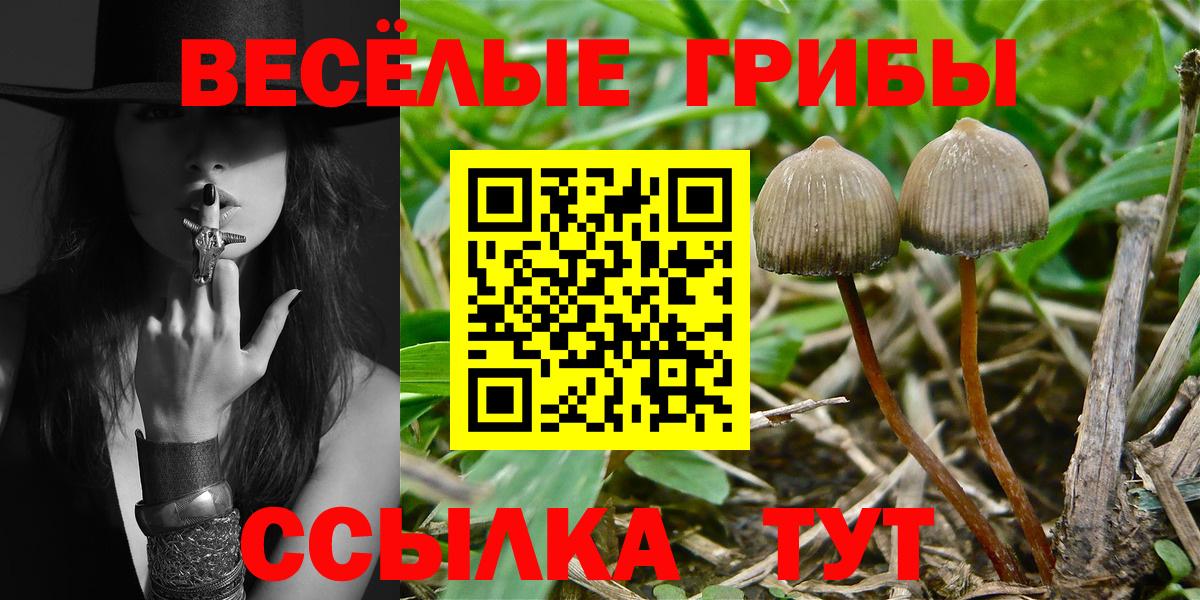 Галлюциногенные грибы GOLDEN TEACHER Кириши