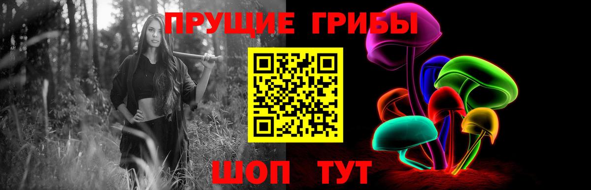 Кириши  Галлюциногенные грибы мицелий  Вход с VPN 