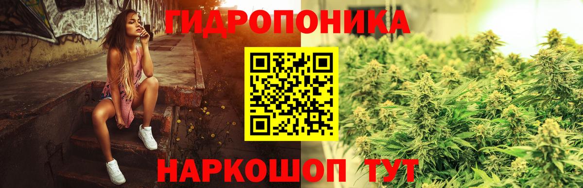 Кириши  Бошки марихуана Ganja  Конопля индика  Вход с VPN 